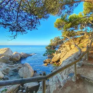 Direct Beachpetfriendly By Rinconesmediterraneos , Calonge (Catalonia) España